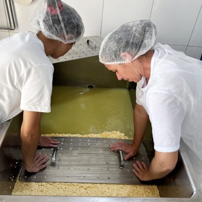 2 Mulheres de roupas brancas e toucas debruçadas sobre um dos processos de preparaçao do queijo