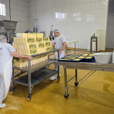 A Imagem mostra 2 funcionários trabalhando no processo de produção de queijo. Os queijos estão em cima de um recipiente inoxidável