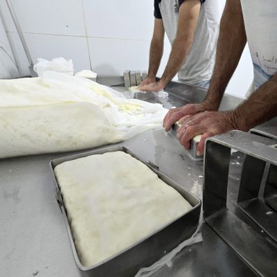 A imagem retrata 4 mãos masculinas um momento crucial do processo artesanal de produção de coalhada