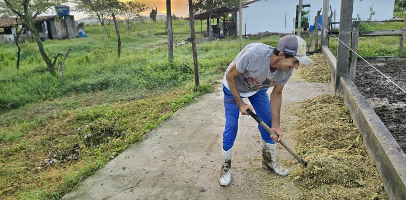 Homem com boné e botas capinando numa area rural